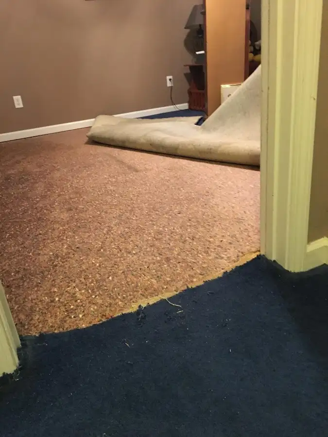 Carpet pad removal revealing water damage during Water Mitigation Services in Hardyston